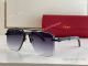 Cartier Premiere Fading lens Men Sunglasses T8200766 (5)_th.jpg